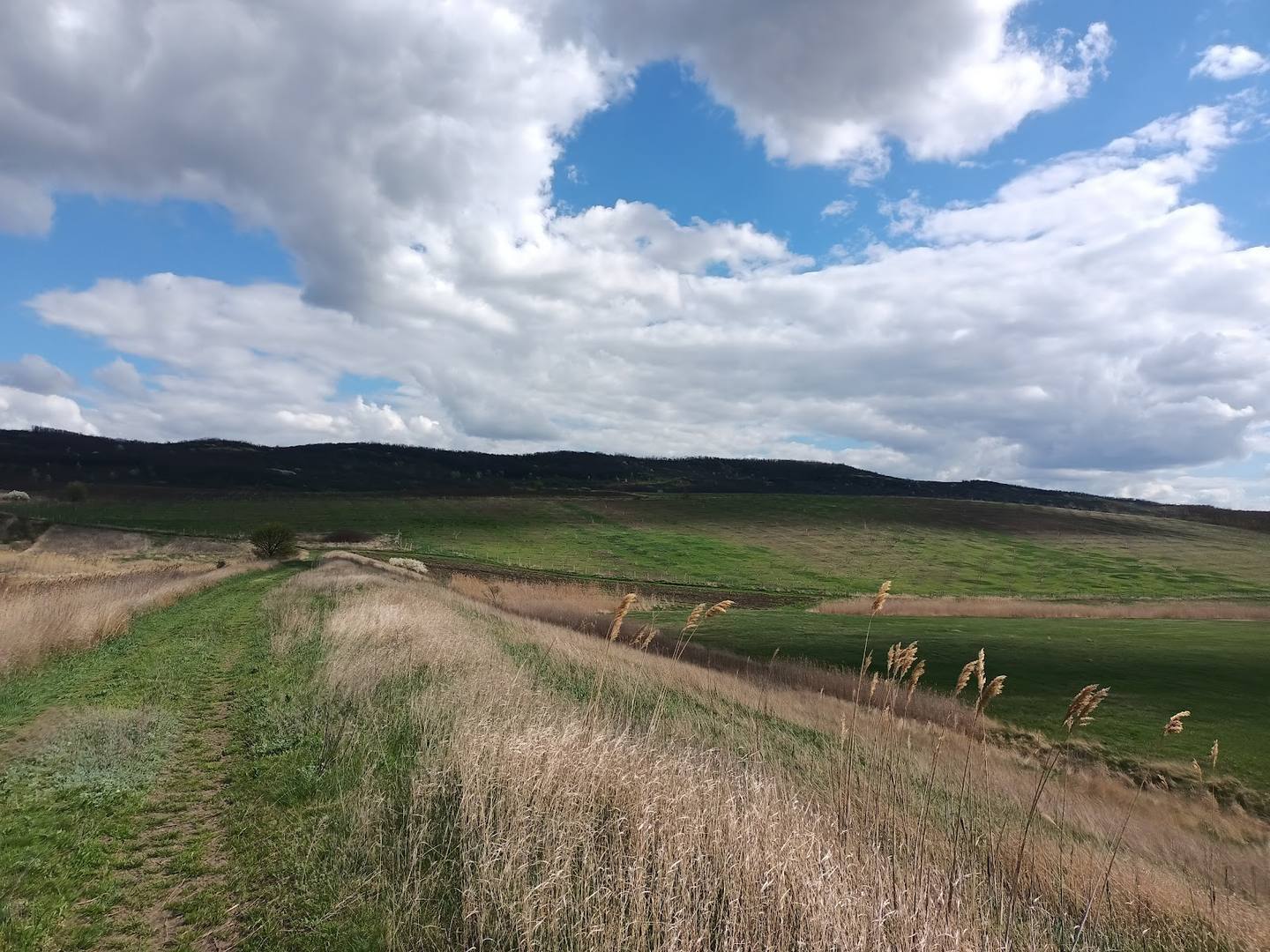 Rolling green fields and vineyards under dramatic sky in Moldova's wine country