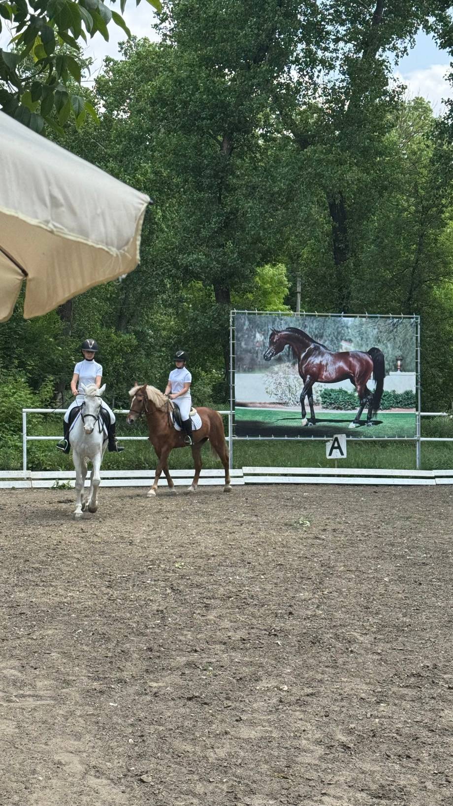 Clubul „Avangard" - Călărie în Rîșcani (foto 4)