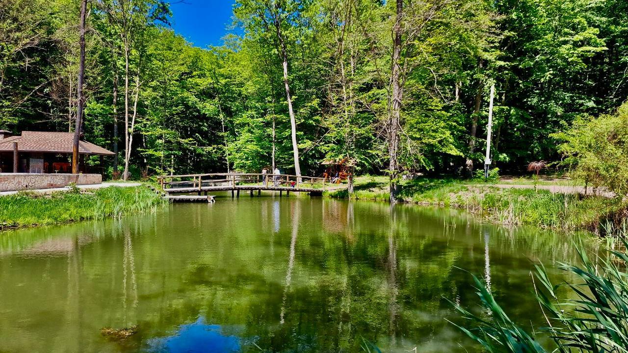 Pădurea Sadova - Nature reserve in Sadova (photo 2)