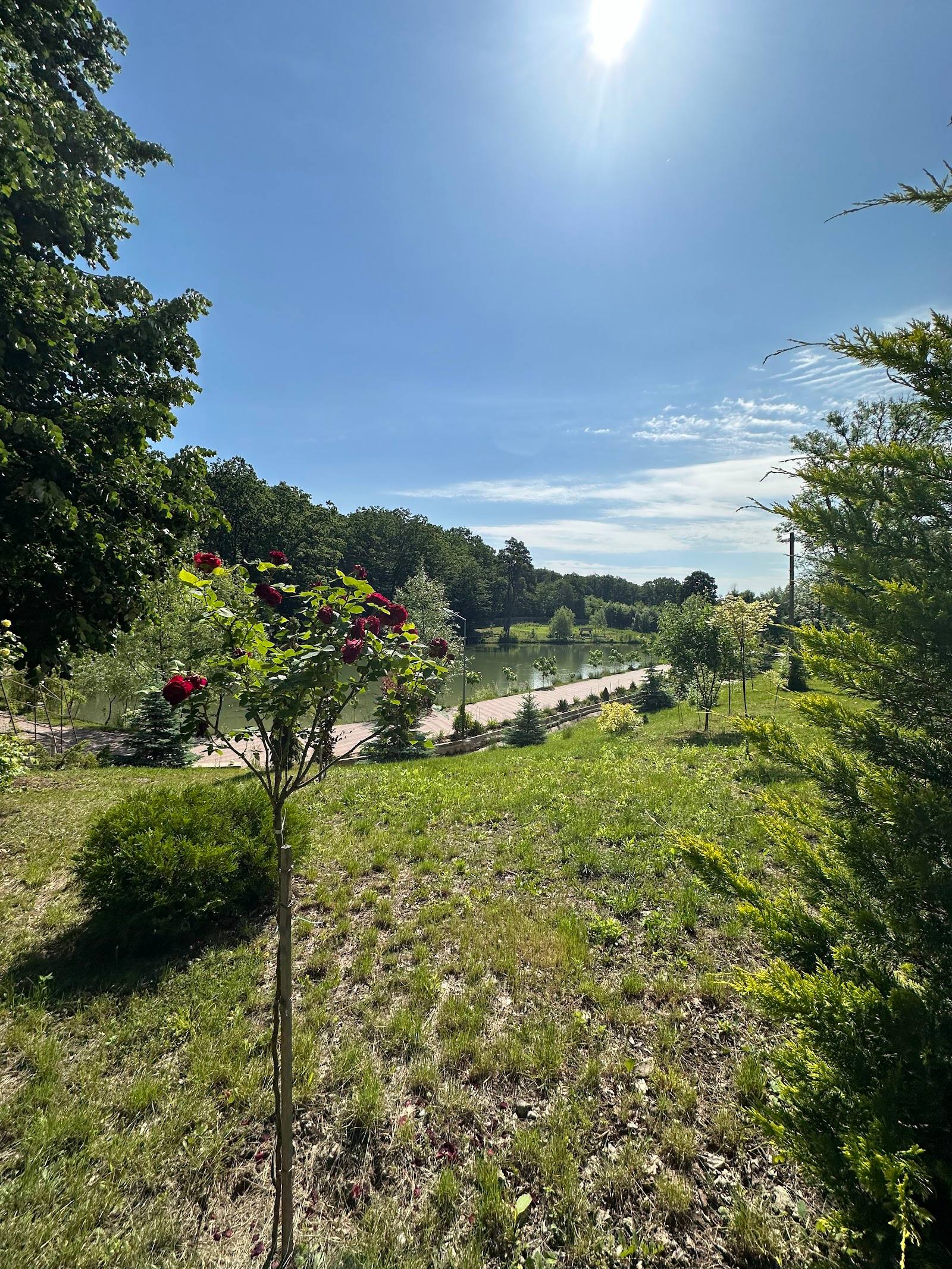 Pădurea Sadova - Nature reserve in Sadova (photo 3)