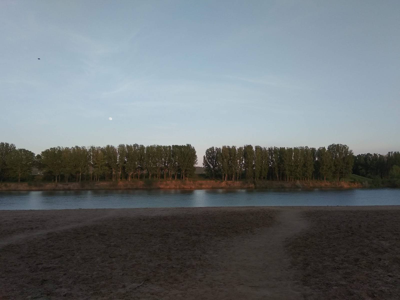 Plaja Vadul lui Vodă - Rezervație naturală în Vadul lui Vodă (foto 3)