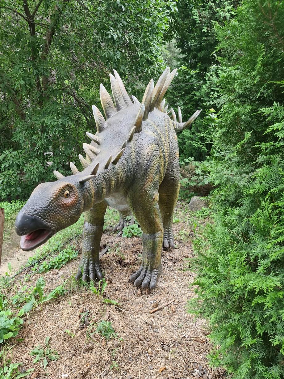 DinoPark - Amusement park in Buiucani (photo 4)
