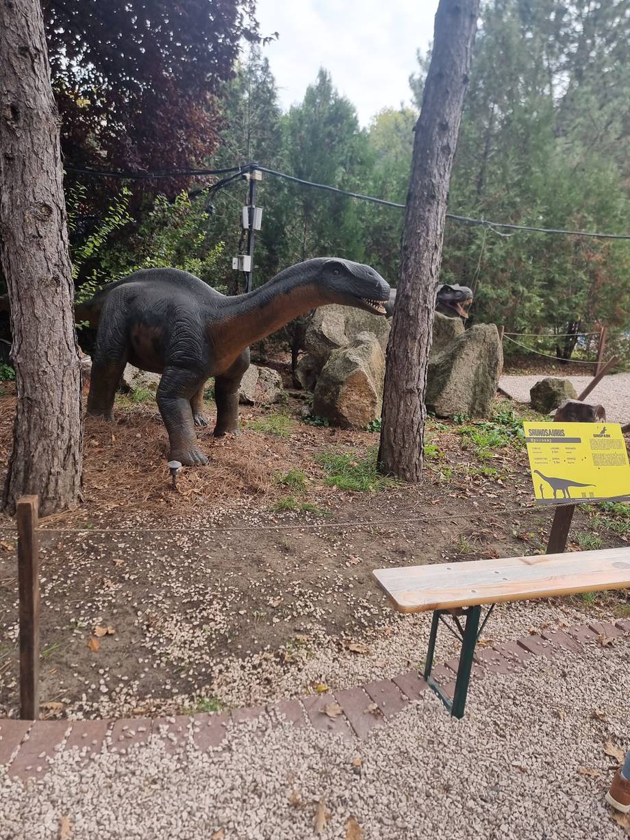 DinoPark - Amusement park in Buiucani (photo 5)