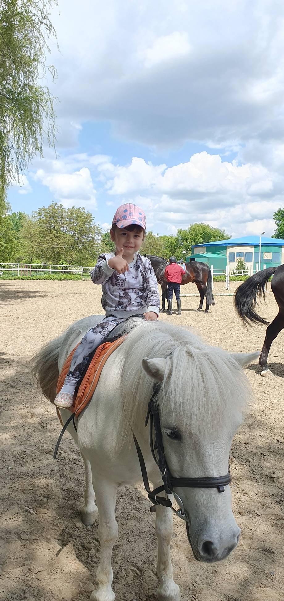 Club Sportiv de Cai · Bălți - Horse riding in Strada Aerodromului (photo 5)