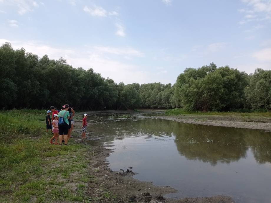 Lacul Beleu - Nature reserve in Slobozia Mare (photo 3)