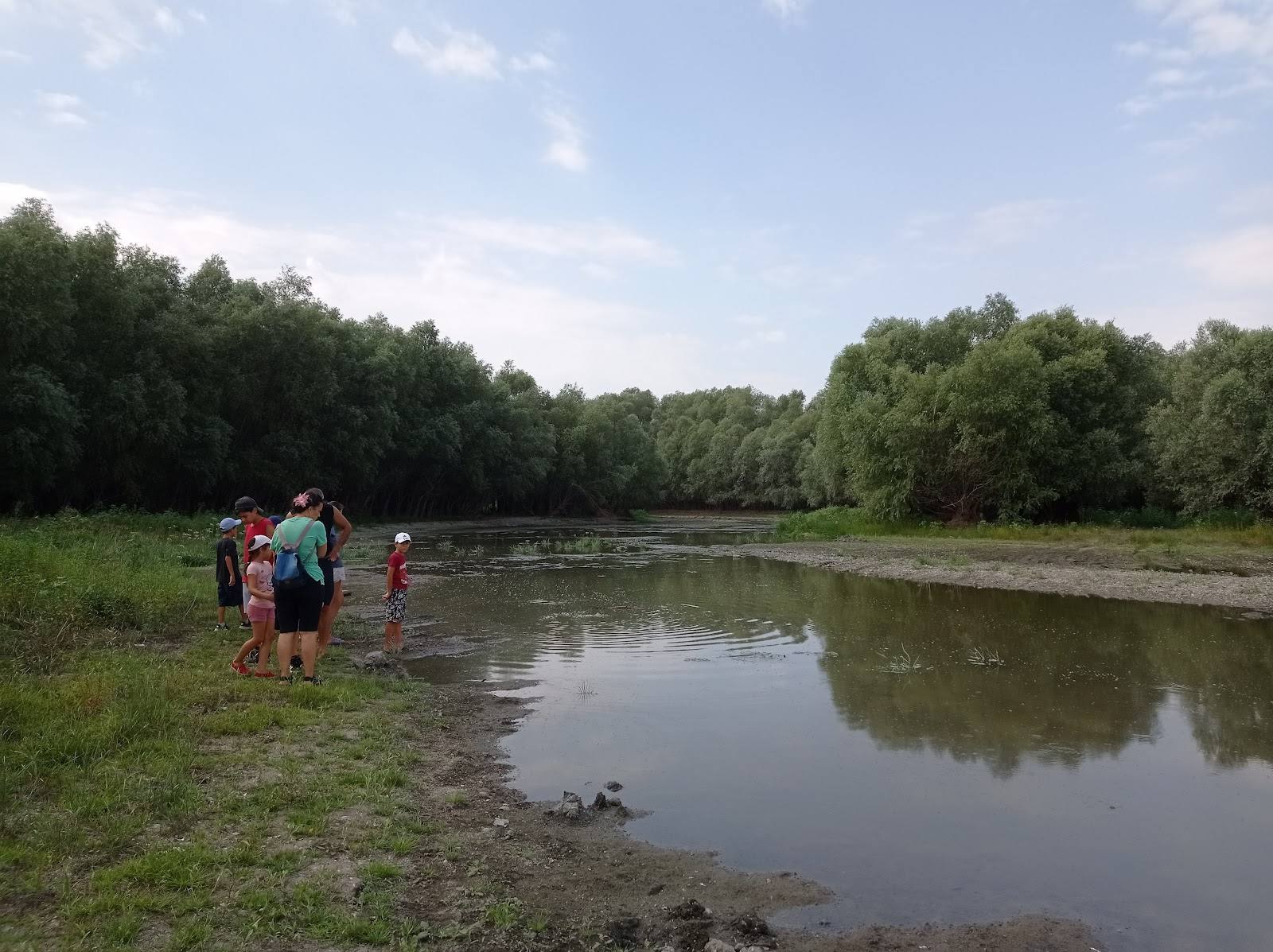 Lacul Beleu - Rezervație naturală în Slobozia Mare (foto 3)