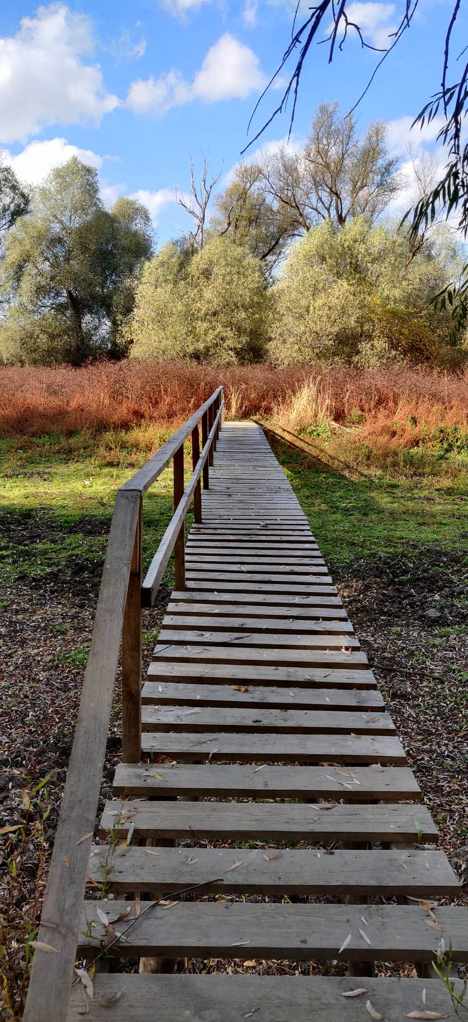 Lacul Beleu - Nature reserve in Slobozia Mare (photo 4)