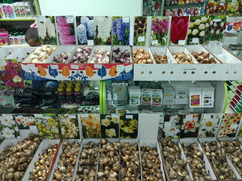 Piața Angro Bulgară - Local market in Centru (photo 6)