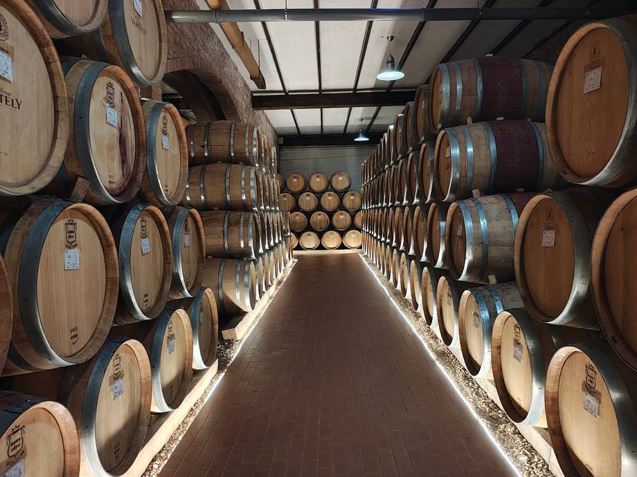 Château Vartely - Premium wine estates in Orhei (photo 2)