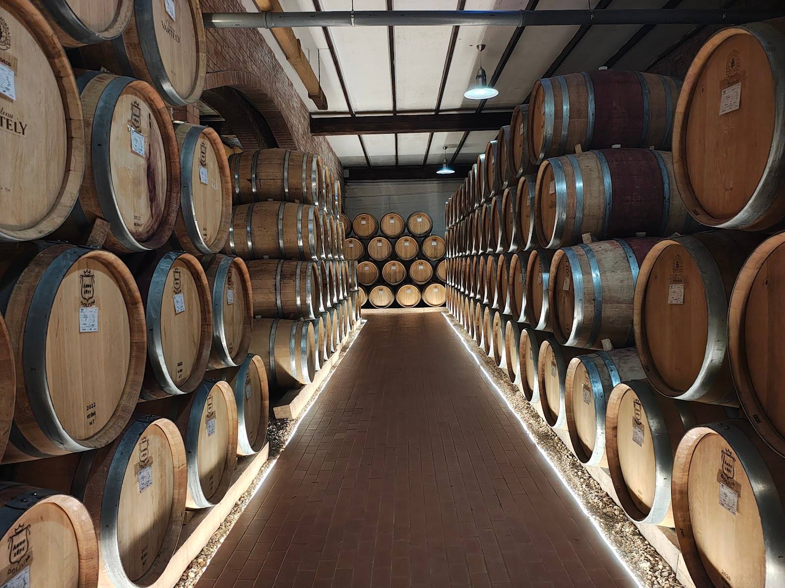 Château Vartely - Premium wine estates in Orhei (photo 2)
