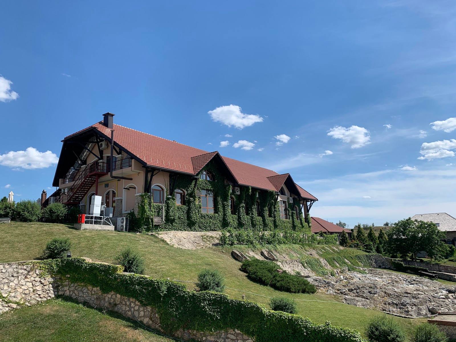 Château Vartely - Premium wine estates in Orhei (photo 3)