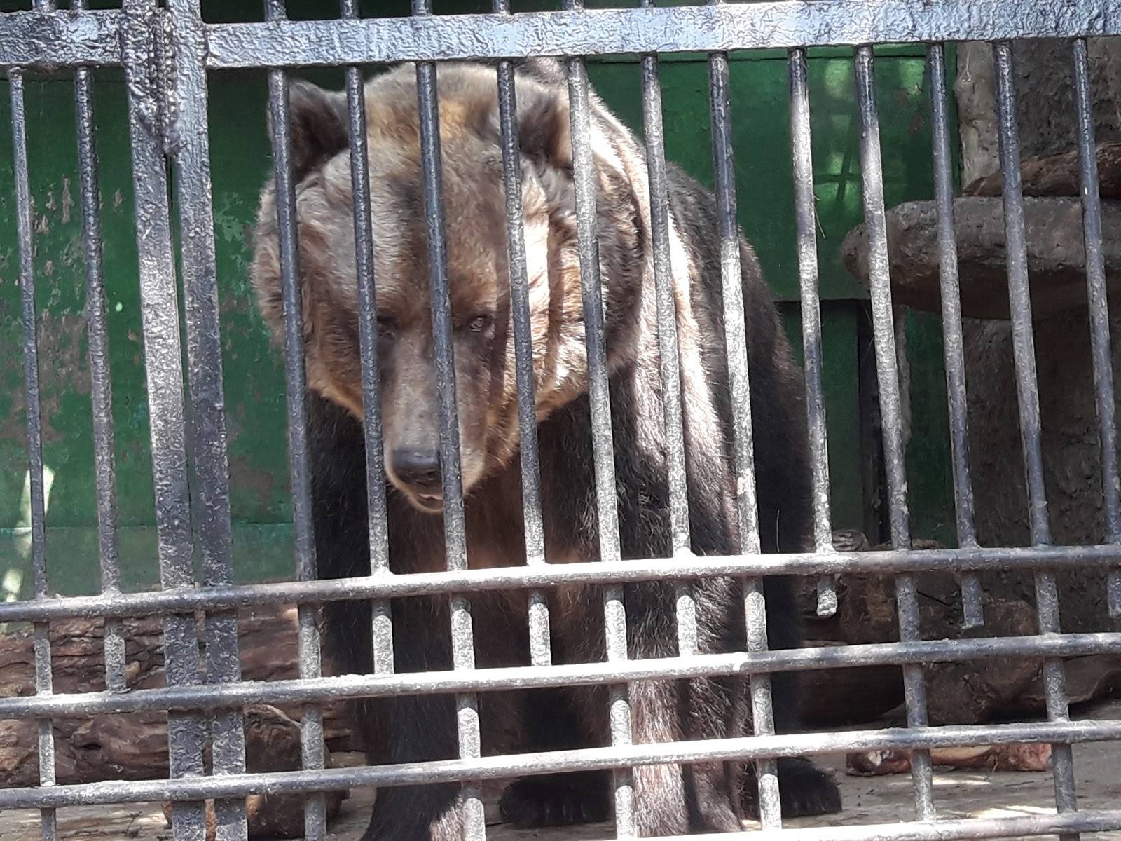 Grădina Zoologică Chișinău - Grădină zoologică în Botanica (foto 2)