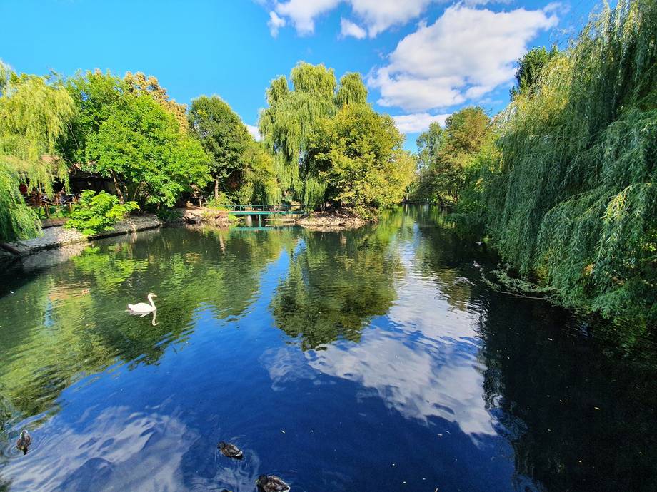 Grădina Zoologică Chișinău - Zoo / botanical garden in Botanica (photo 6)