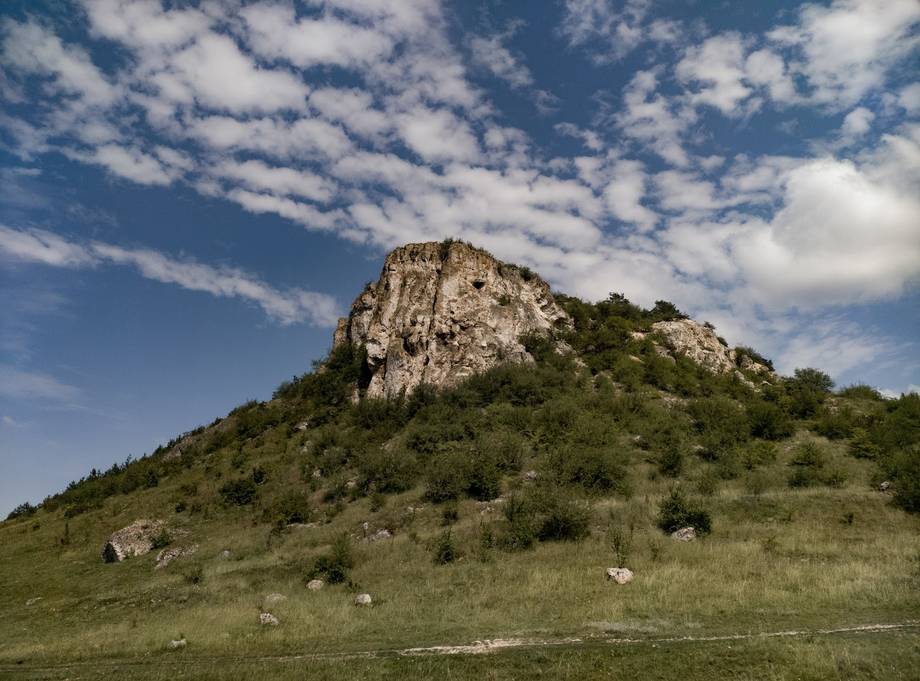 Fetești Natural Reserve · Toltrele Prutului - Nature reserve in Fetești (photo 2)