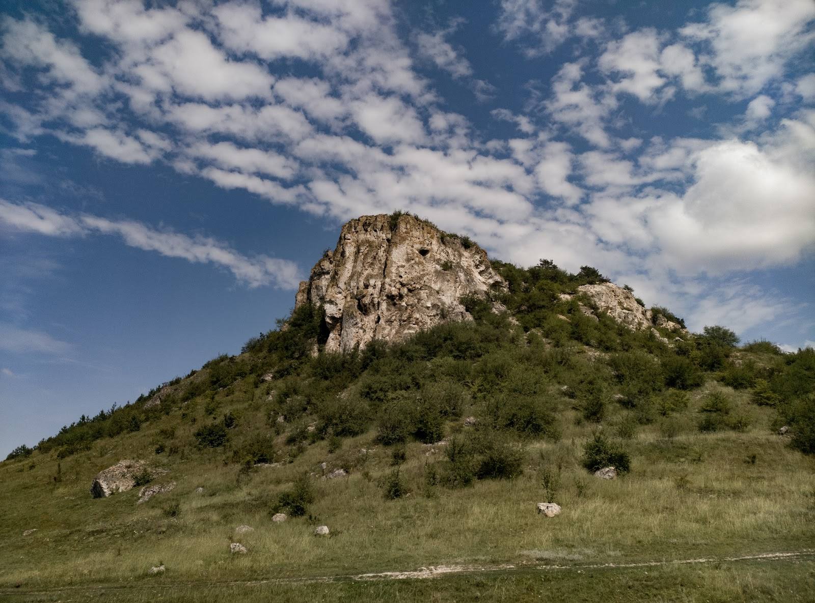 Fetești Natural Reserve · Toltrele Prutului - Nature reserve in Fetești (photo 2)