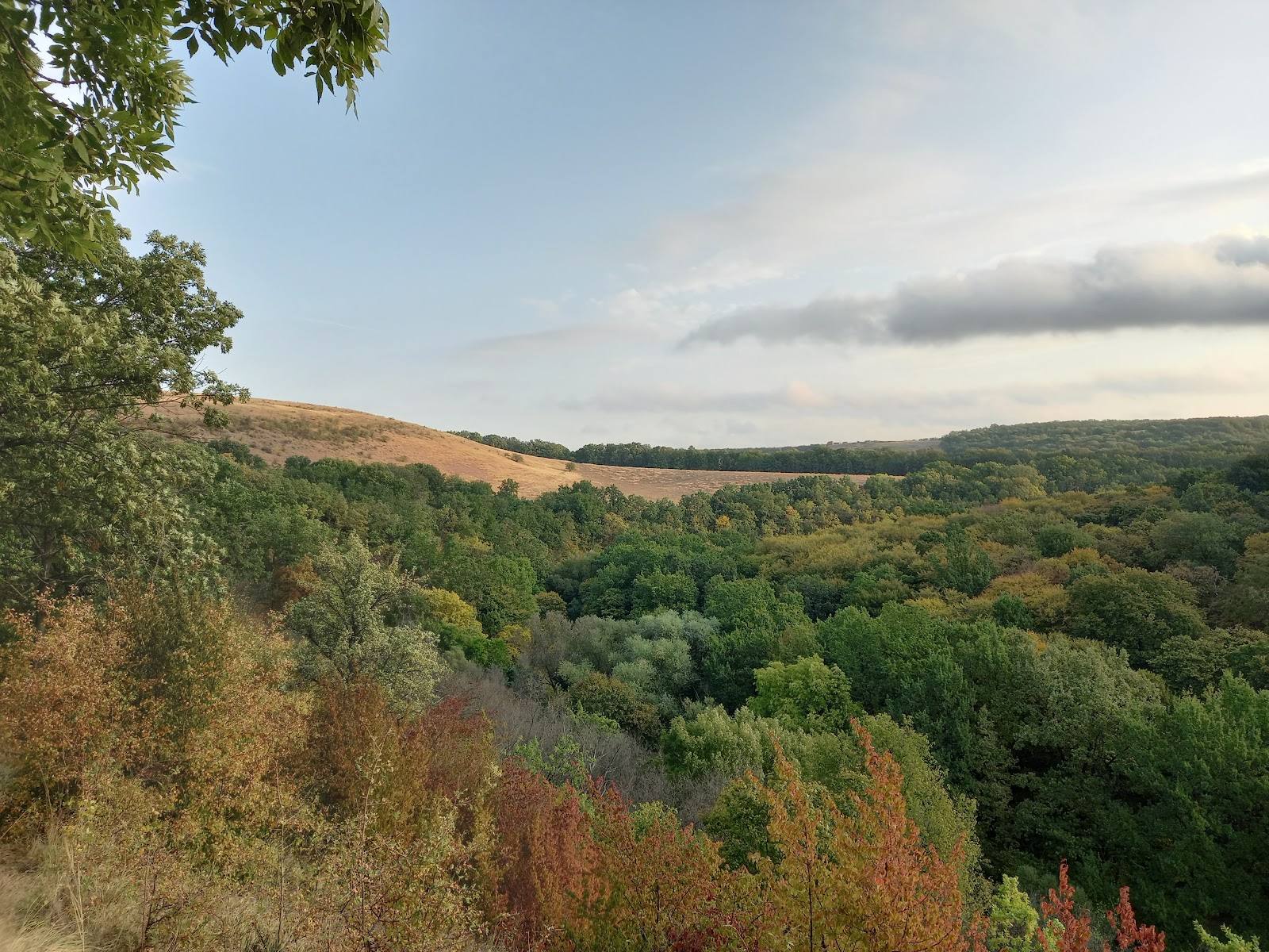 Fetești Natural Reserve · Toltrele Prutului - Nature reserve in Fetești (photo 3)