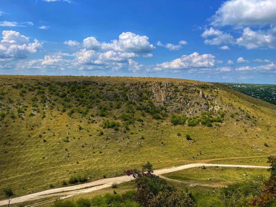 Fetești Natural Reserve · Toltrele Prutului - Nature reserve in Fetești (photo 5)
