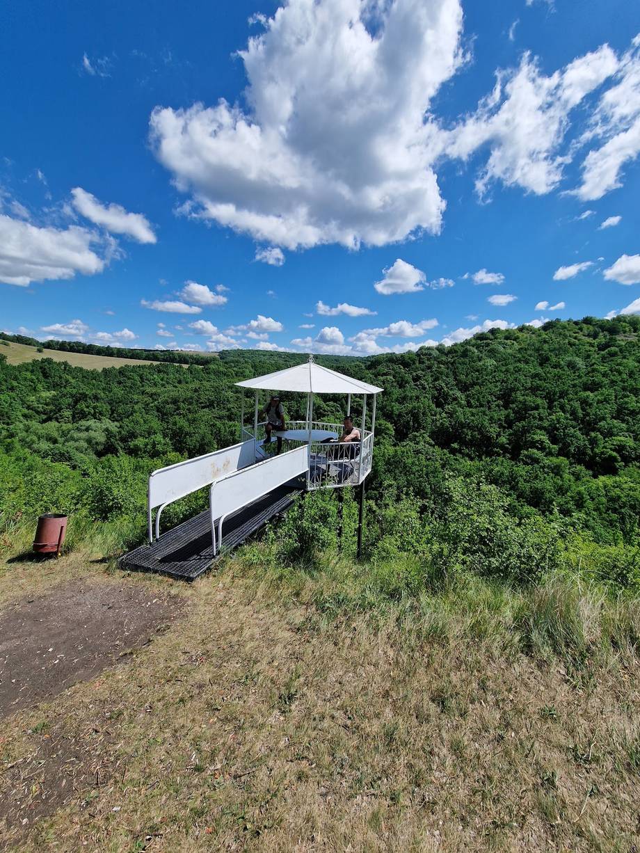 Fetești Natural Reserve · Toltrele Prutului - Nature reserve in Fetești (photo 6)