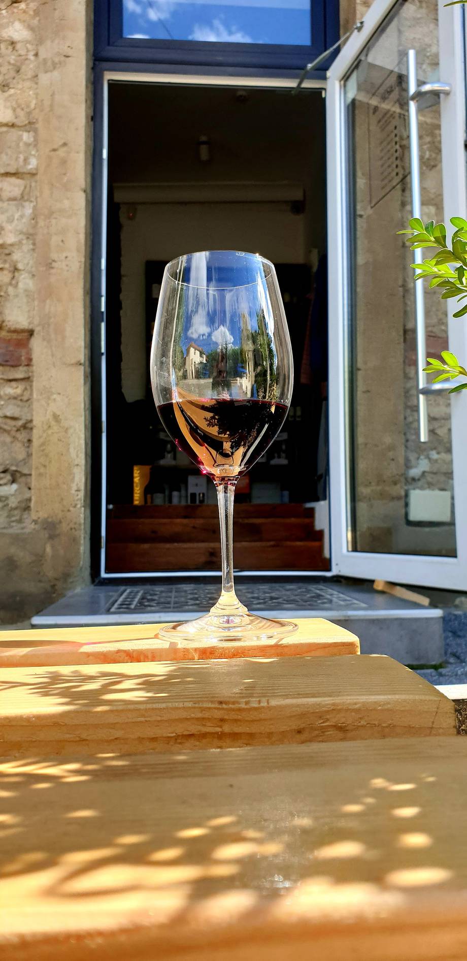 Plincuvin Wine Shop - Wine bar în Centru (foto 4)