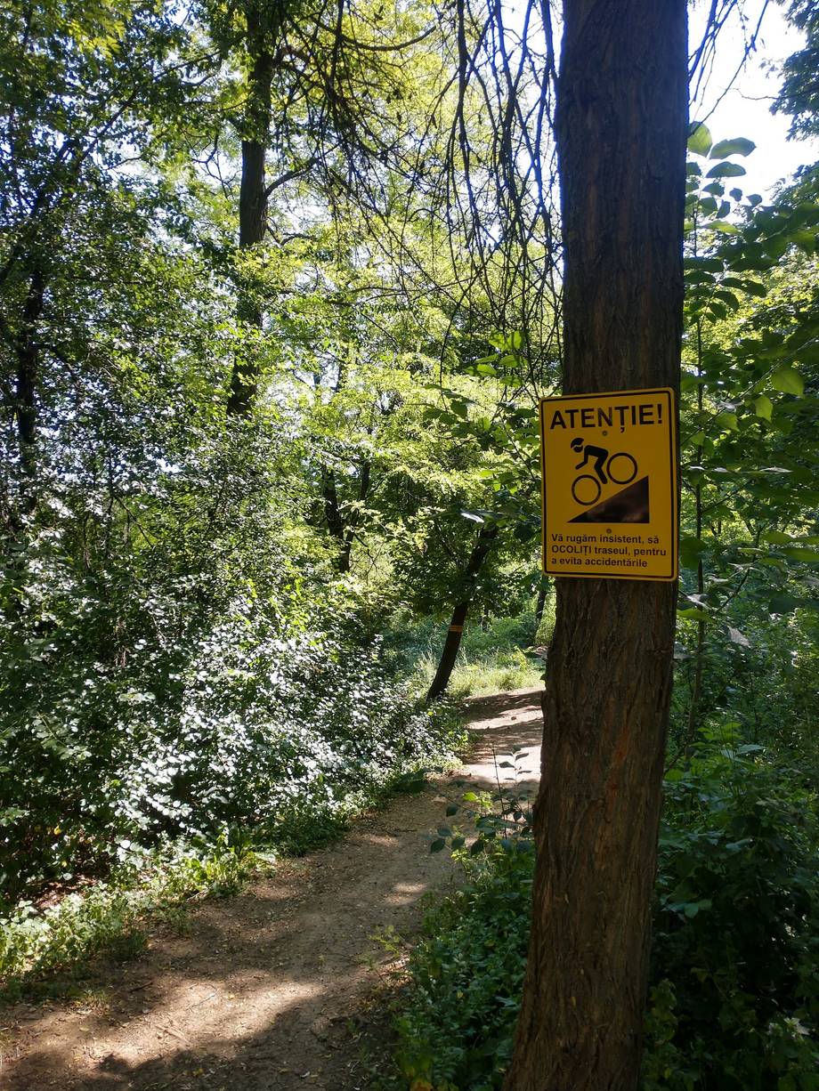 Trail Park Valea Morilor - Cycling trails in Centru (photo 5)
