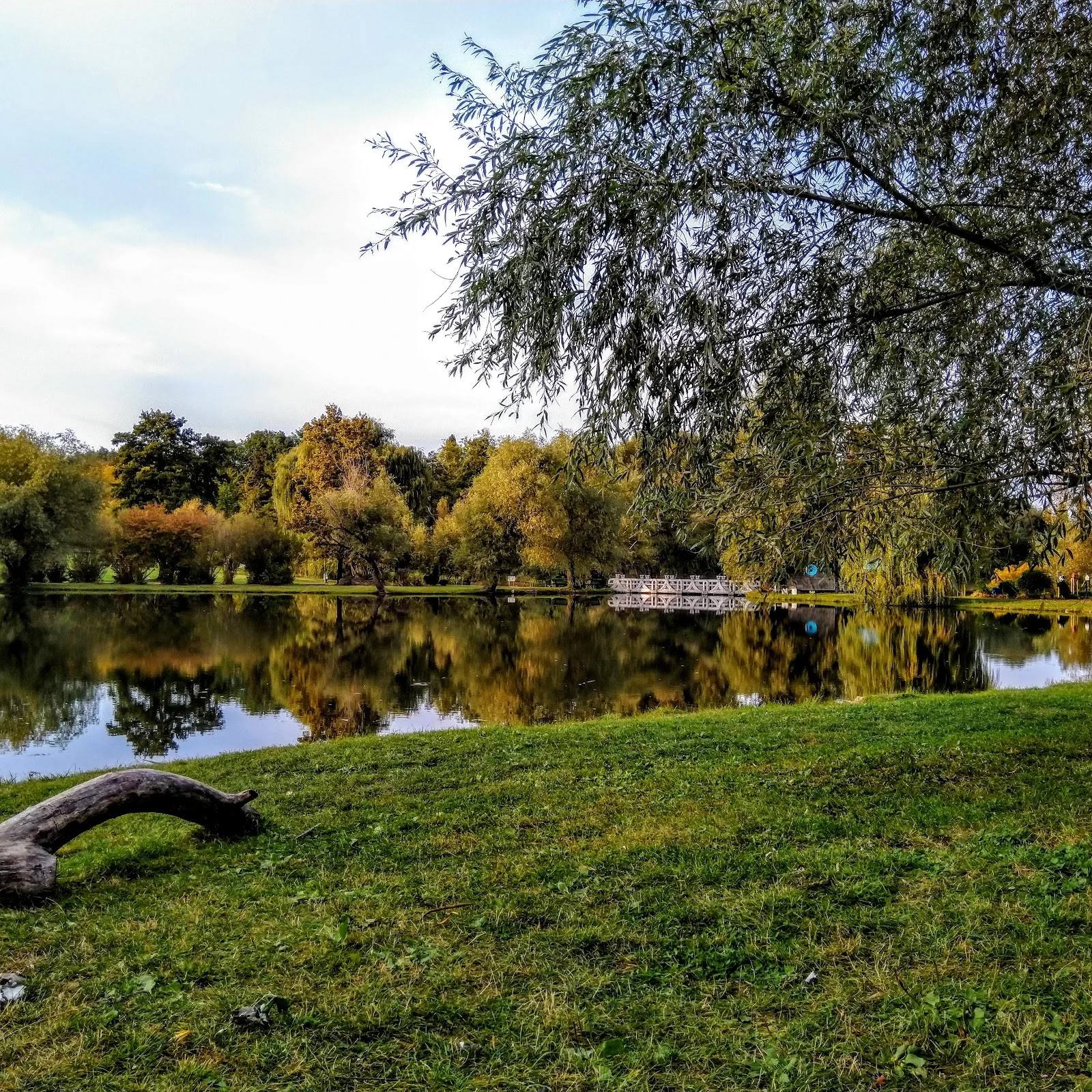 Grădina Botanică Națională - Botanical garden in Botanica (photo 2)