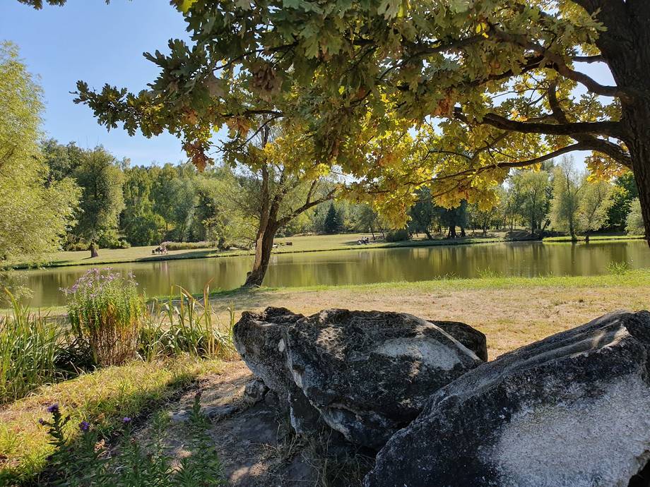 Grădina Botanică Națională - Zoo / botanical garden in Botanica (photo 4)