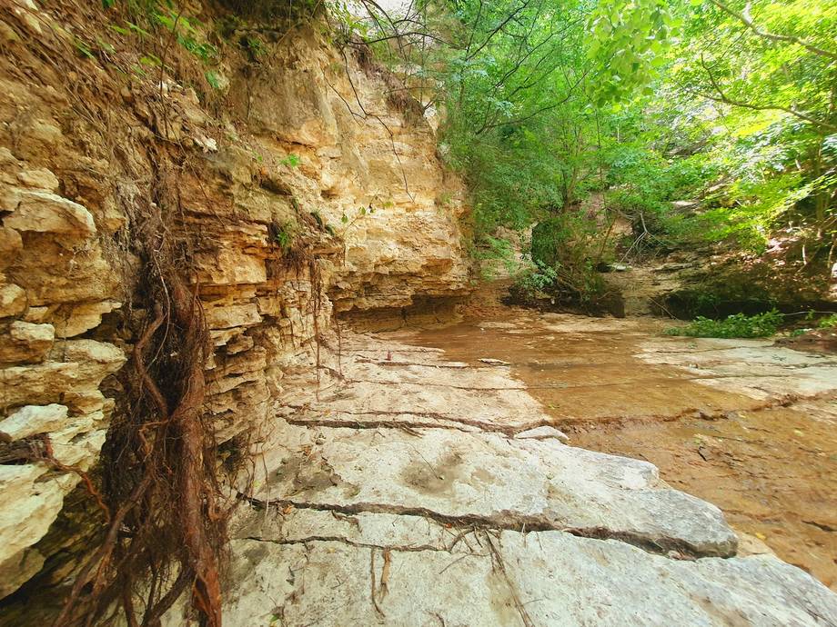 Cascada Parcani - Cascadă în Parcani (foto 5)