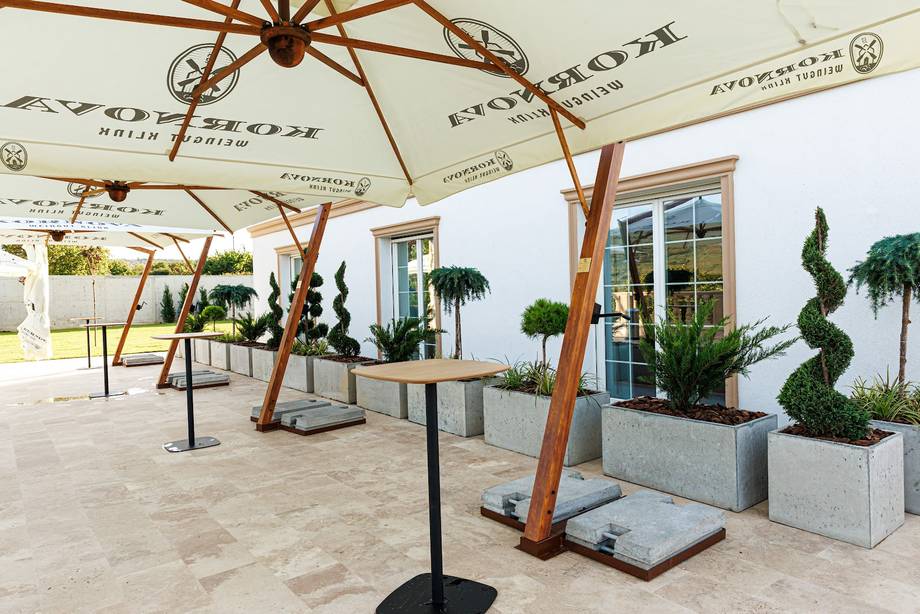 Winery Kornova · Weingut Klink - Boutique wineries in Ungheni (photo 3)