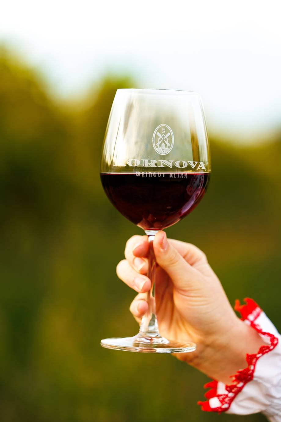 Winery Kornova · Weingut Klink - Boutique wineries in Ungheni (photo 5)
