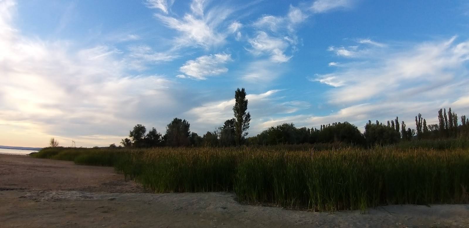 Lacul Ghidighici - Nature reserve in Cojușna (photo 3)