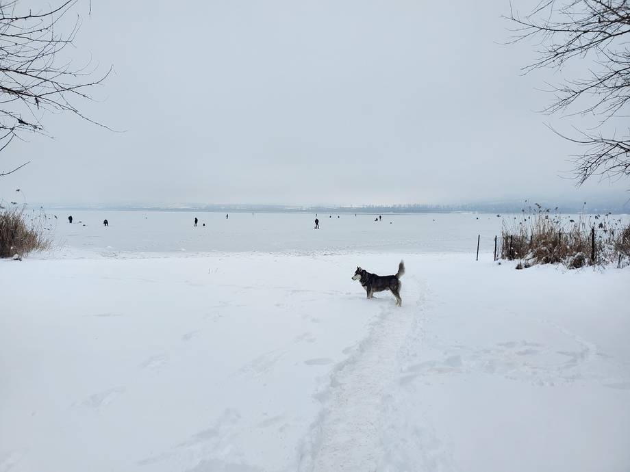 Lacul Ghidighici - Nature reserve in Chișinău (photo 6)