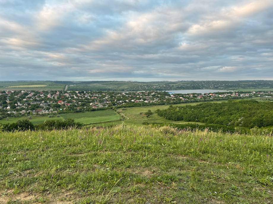Dealul Henciu - Punct panoramic în Suruceni (foto 2)