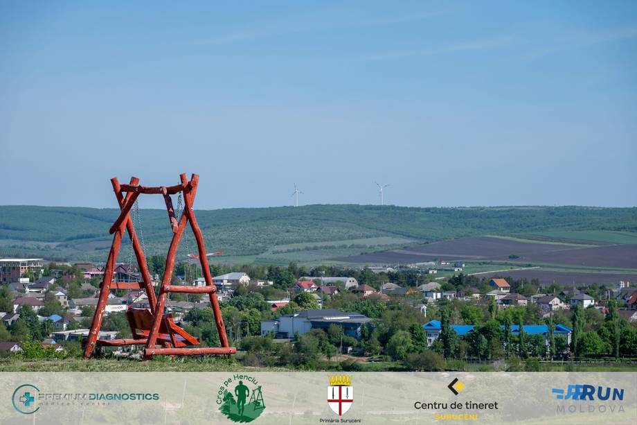 Dealul Henciu - Punct panoramic în Suruceni (foto 6)