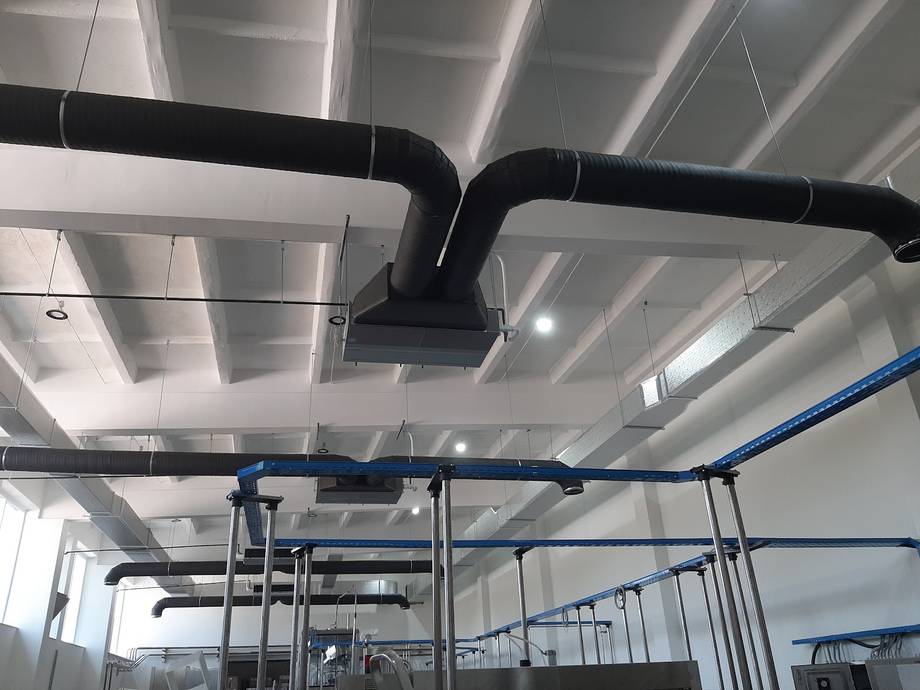 Vinăria Bostavan · Etulia - Crame premium în Găgăuzia (foto 6)