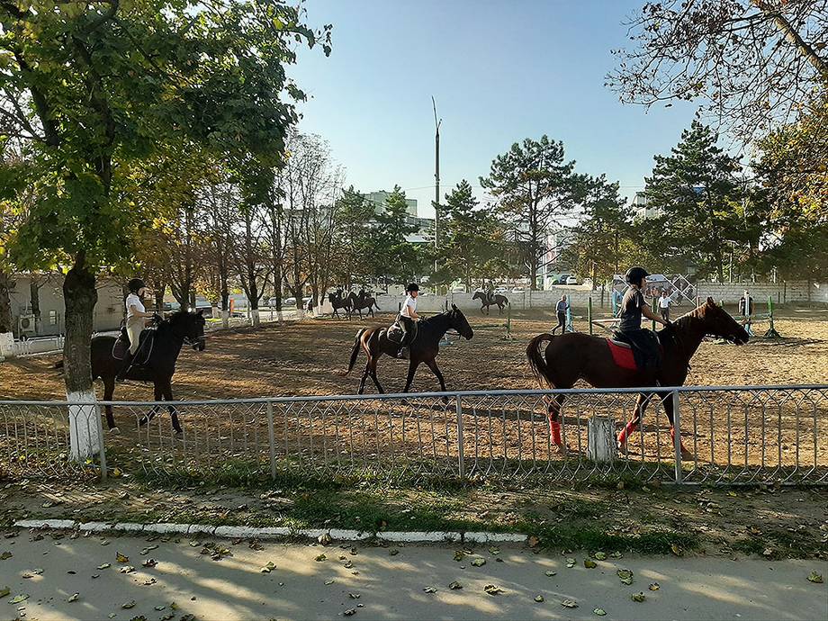 Horse School - Horse riding in Râșcani (photo 3)