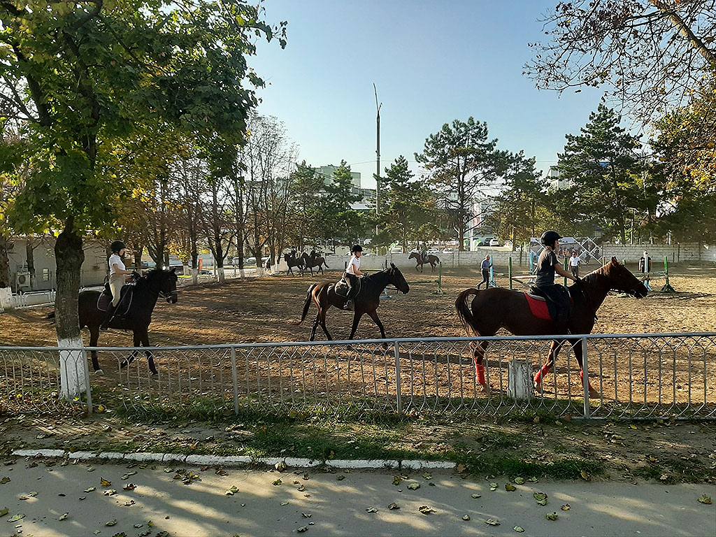 Horse School - Horse riding in Râșcani (photo 3)