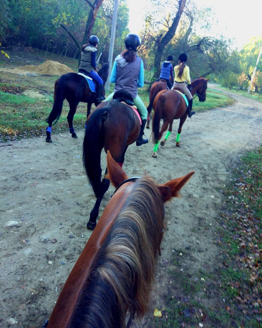 Horse School - Horse riding in Râșcani (photo 4)