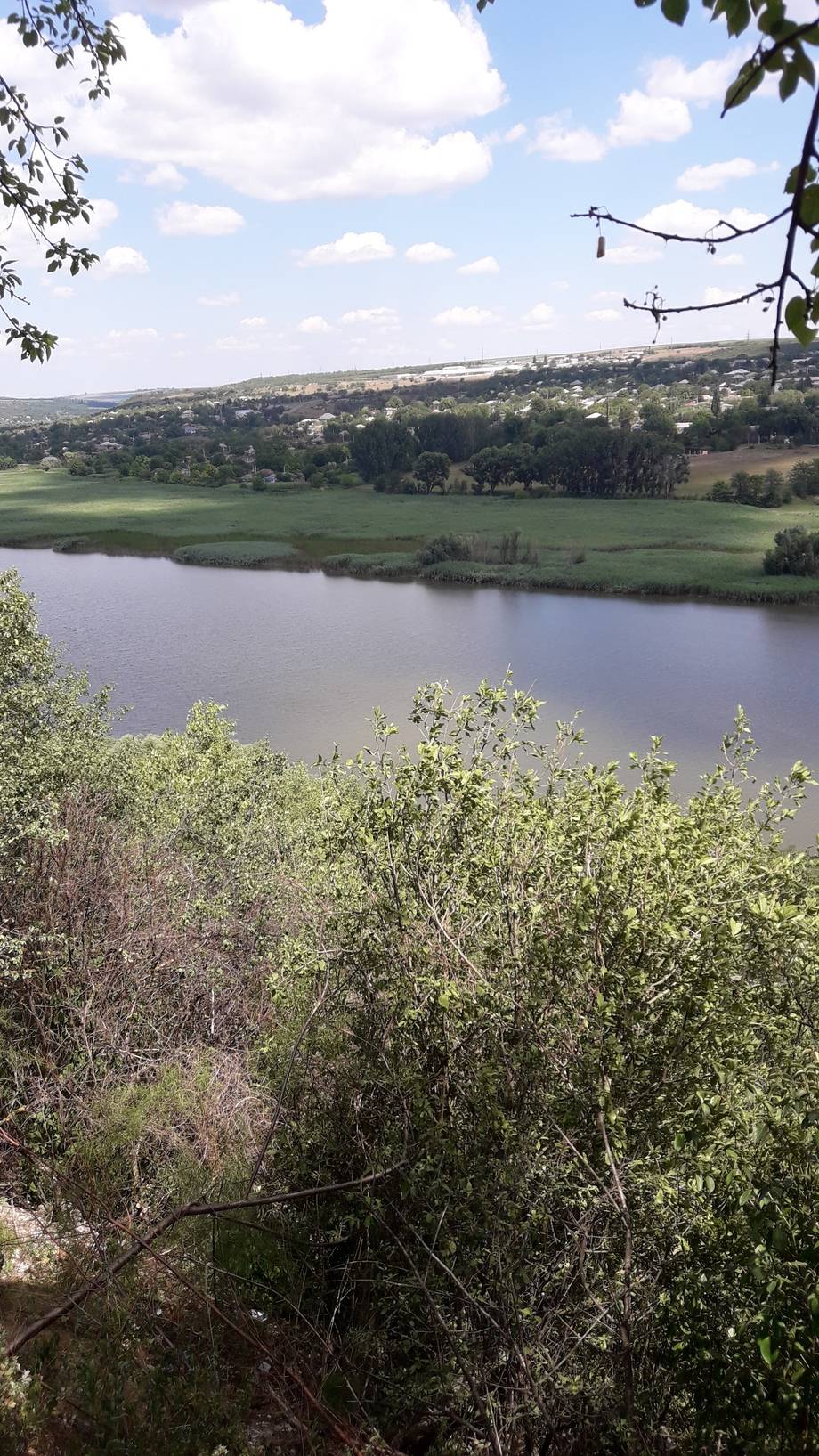 Rezervația Țipova - Nature reserve in Țipova (photo 3)