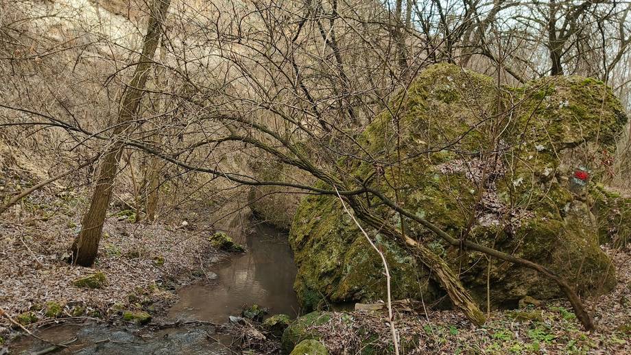 Rezervația Țipova - Nature reserve in Țipova (photo 4)