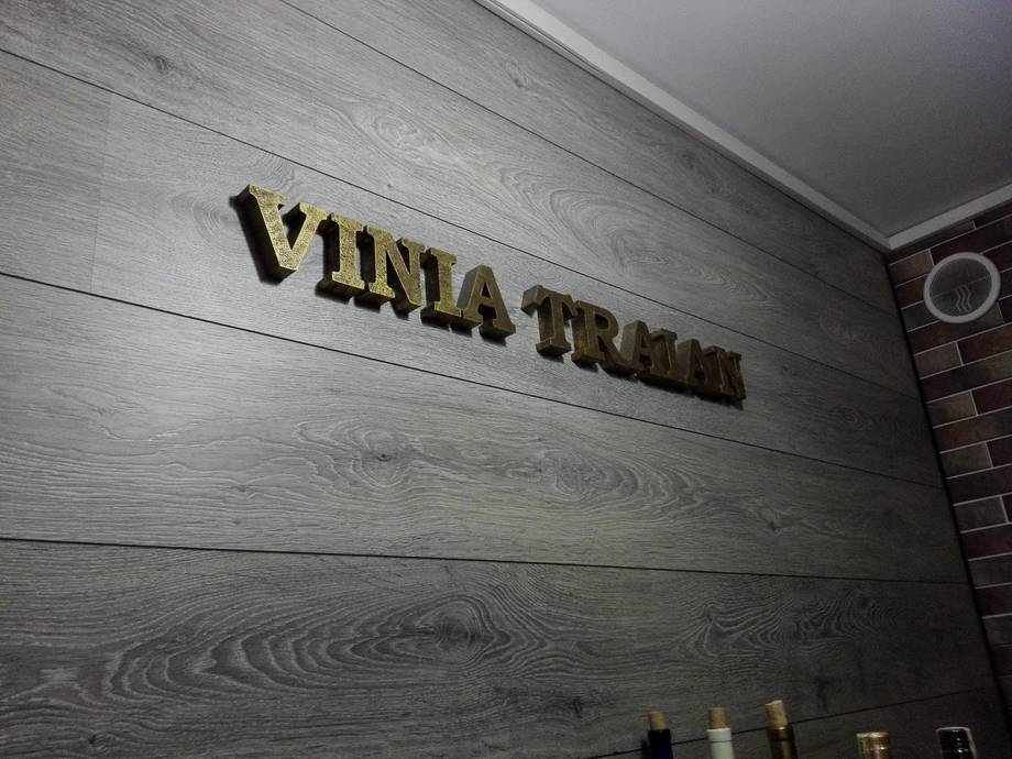 Vinia Traian - Boutique wineries in Cahul (photo 5)