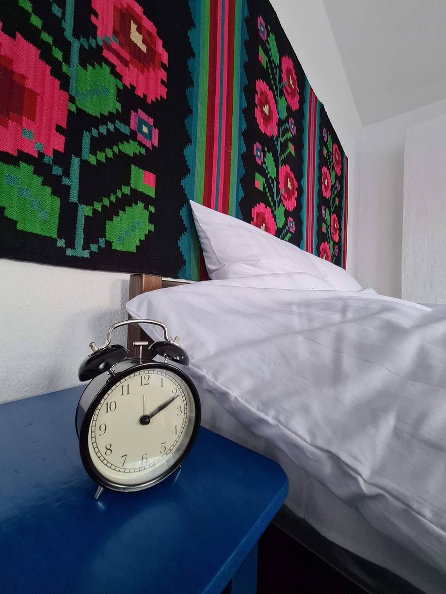 Casa Rurală „La Bunica Clava" - Rural guesthouse in Văleni (photo 5)