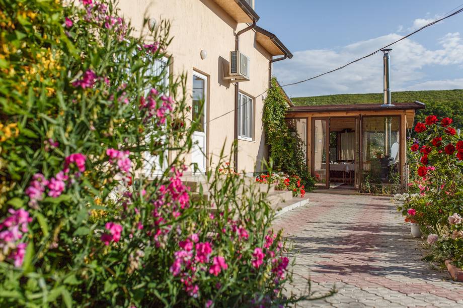 Pensiunea Vila Roz - Rural guesthouse in Trebujeni (photo 3)