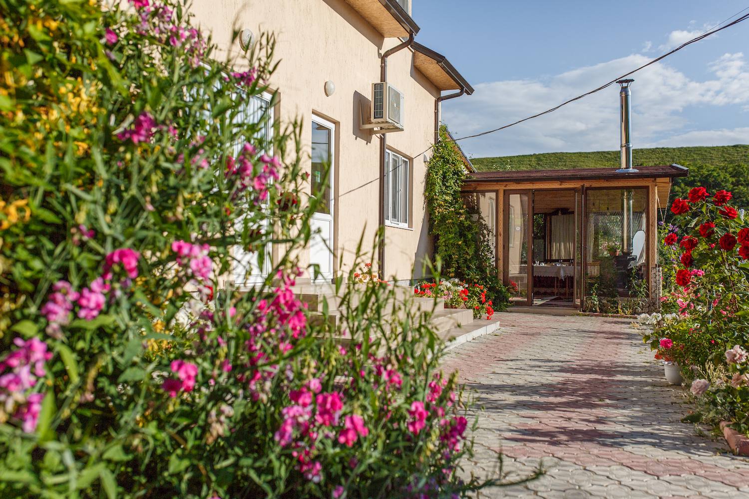 Pensiunea Vila Roz - Pensiune rurală în Trebujeni (foto 3)