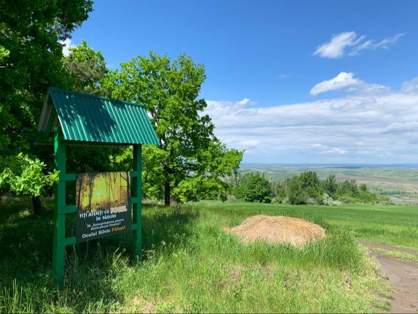 Movila Măgura · Hîncești - Nature reserve in Lăpușna (photo 4)