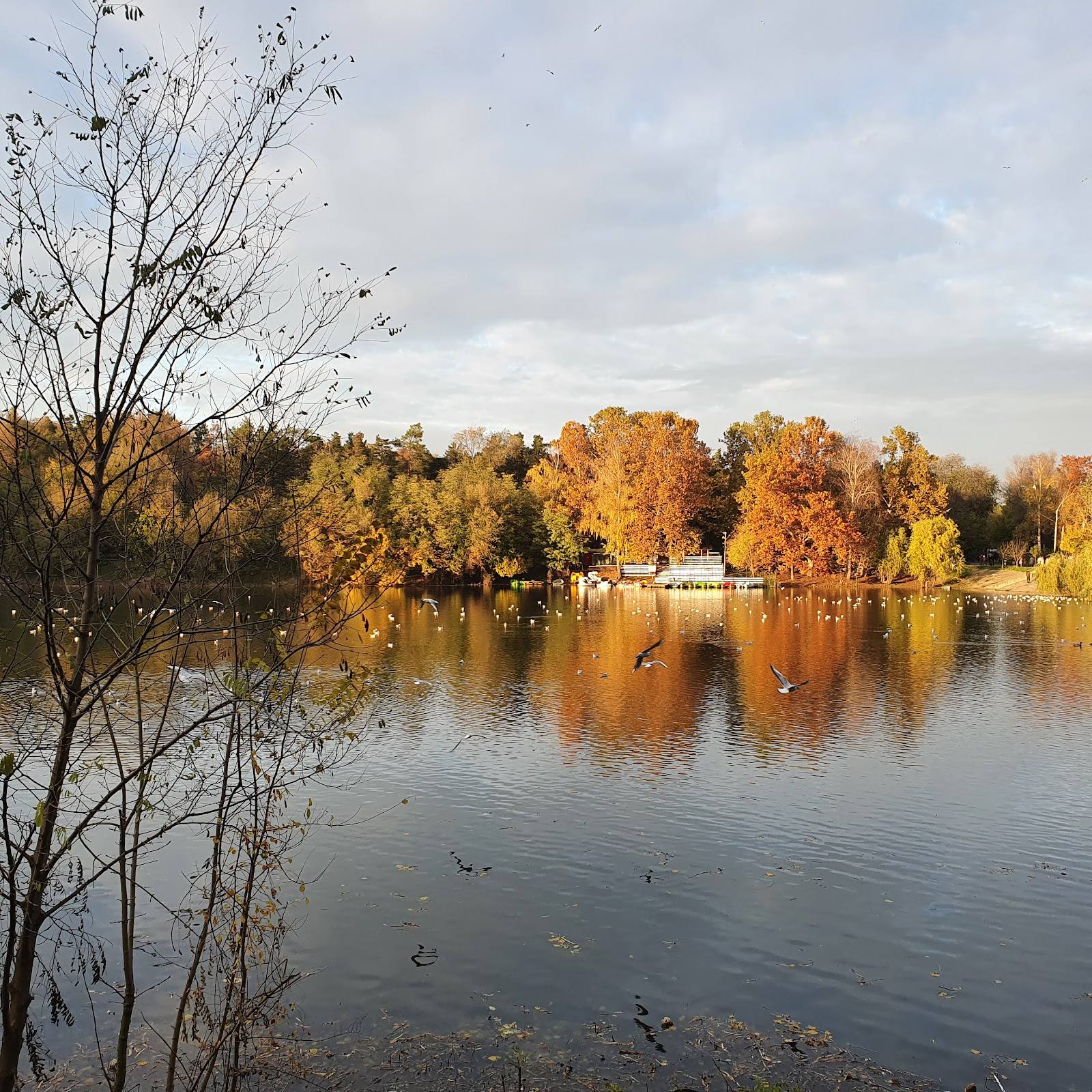 Parcul Valea Trandafirilor - Parks in Centru (photo 2)