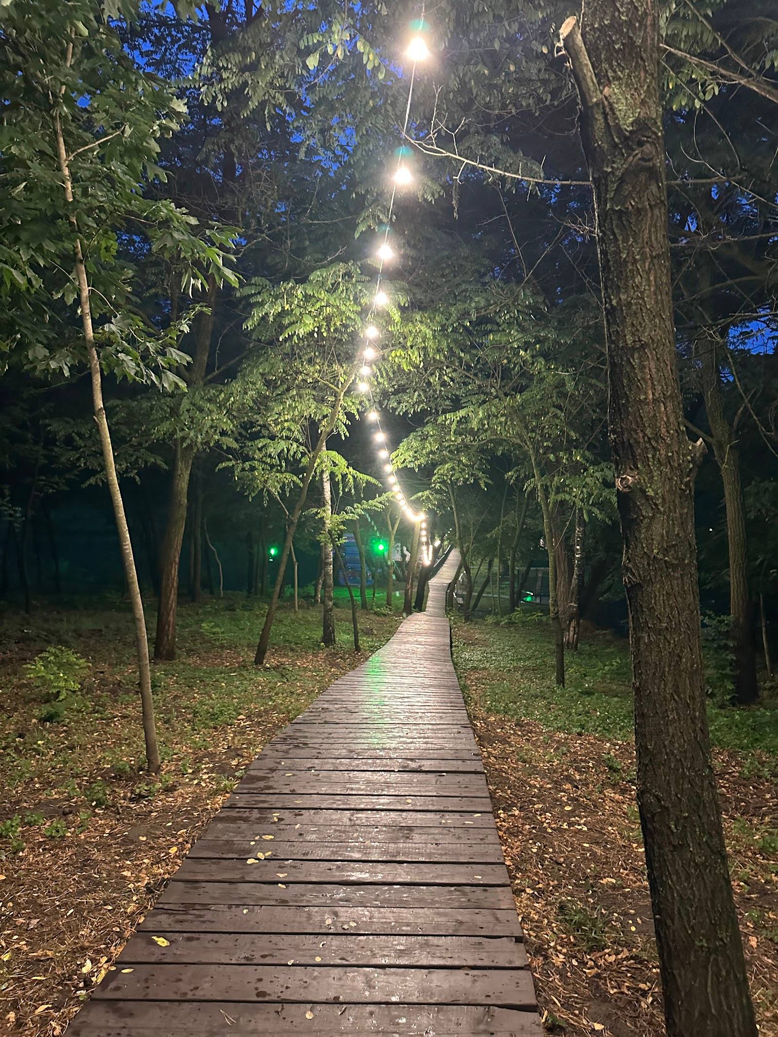 Parcul Valea Trandafirilor - Parks in Centru (photo 3)