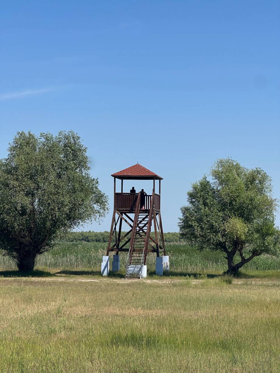 Turnul de Observare a Păsărilor · Slobozia Mare - Birdwatching in Slobozia Mare (photo 4)