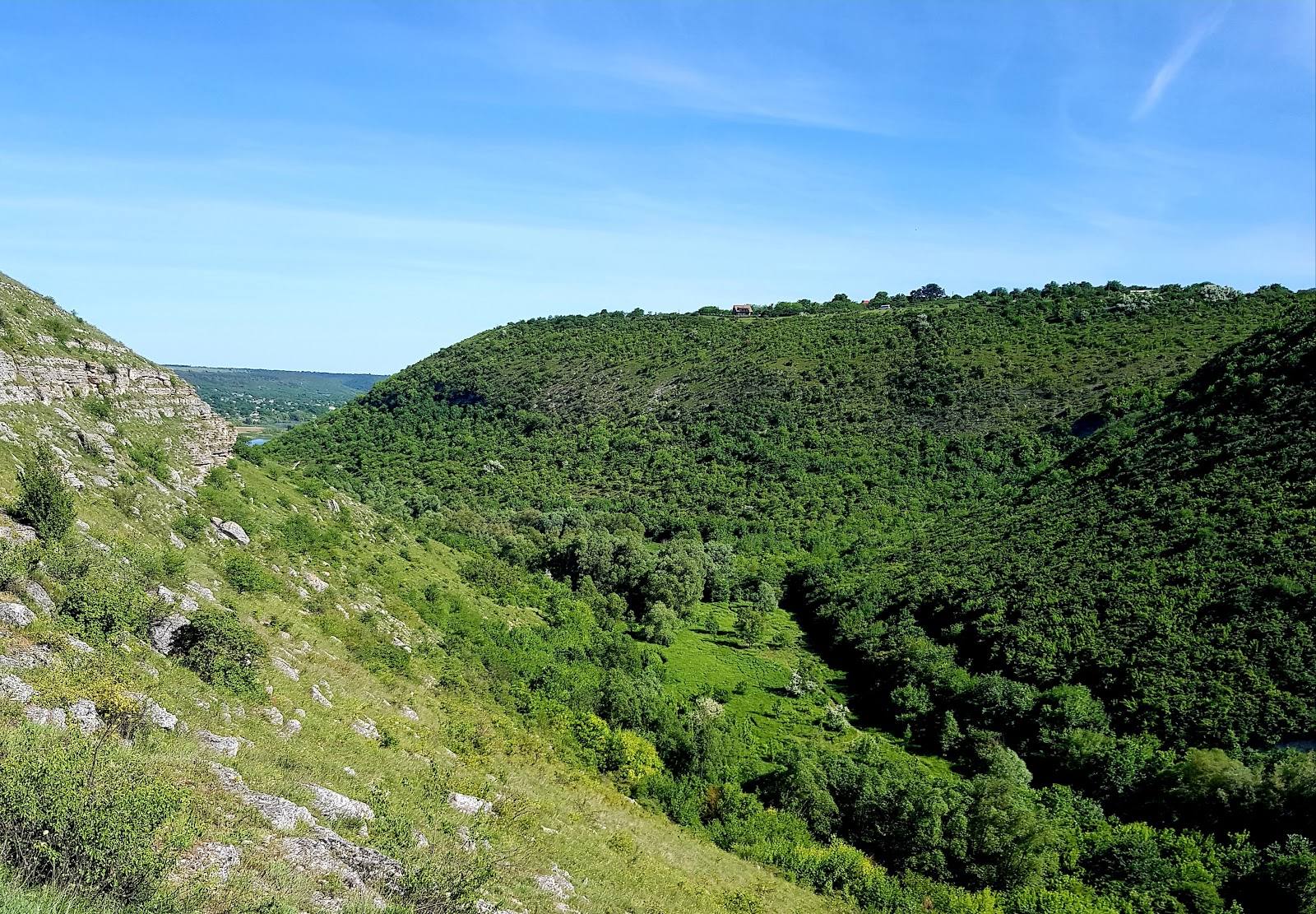 Rezervația Naturală Țipova - Nature reserve in Țipova (photo 3)