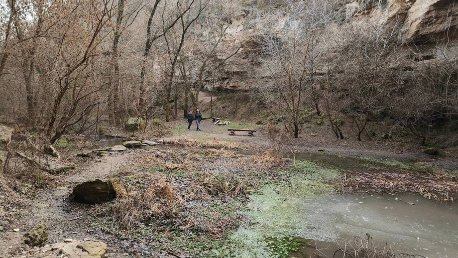 Rezervația Naturală Țipova - Nature reserve in Țipova (photo 5)