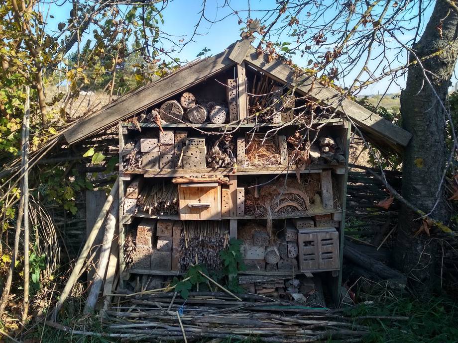 EcoVillage Moldova - Rural guesthouse in Râșcova (photo 5)